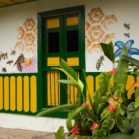 The Plantation House Travellers Hostel Salento Ngoại thất bức ảnh