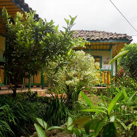 The Plantation House Travellers Hostel Salento Ngoại thất bức ảnh