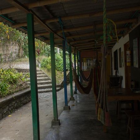 The Plantation House Travellers Hostel Salento Ngoại thất bức ảnh