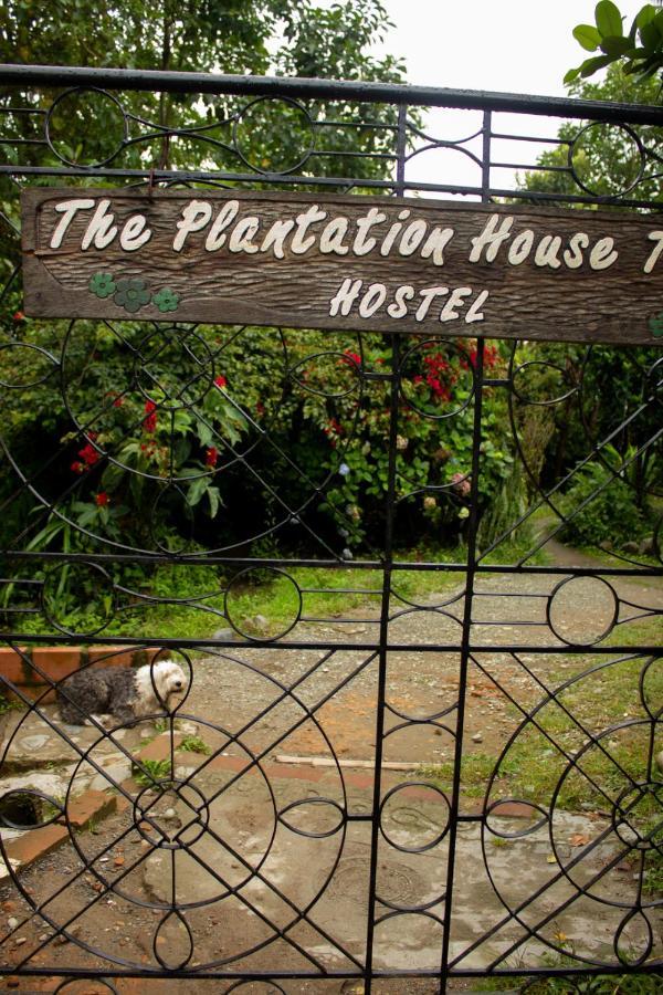 The Plantation House Travellers Hostel Salento Ngoại thất bức ảnh