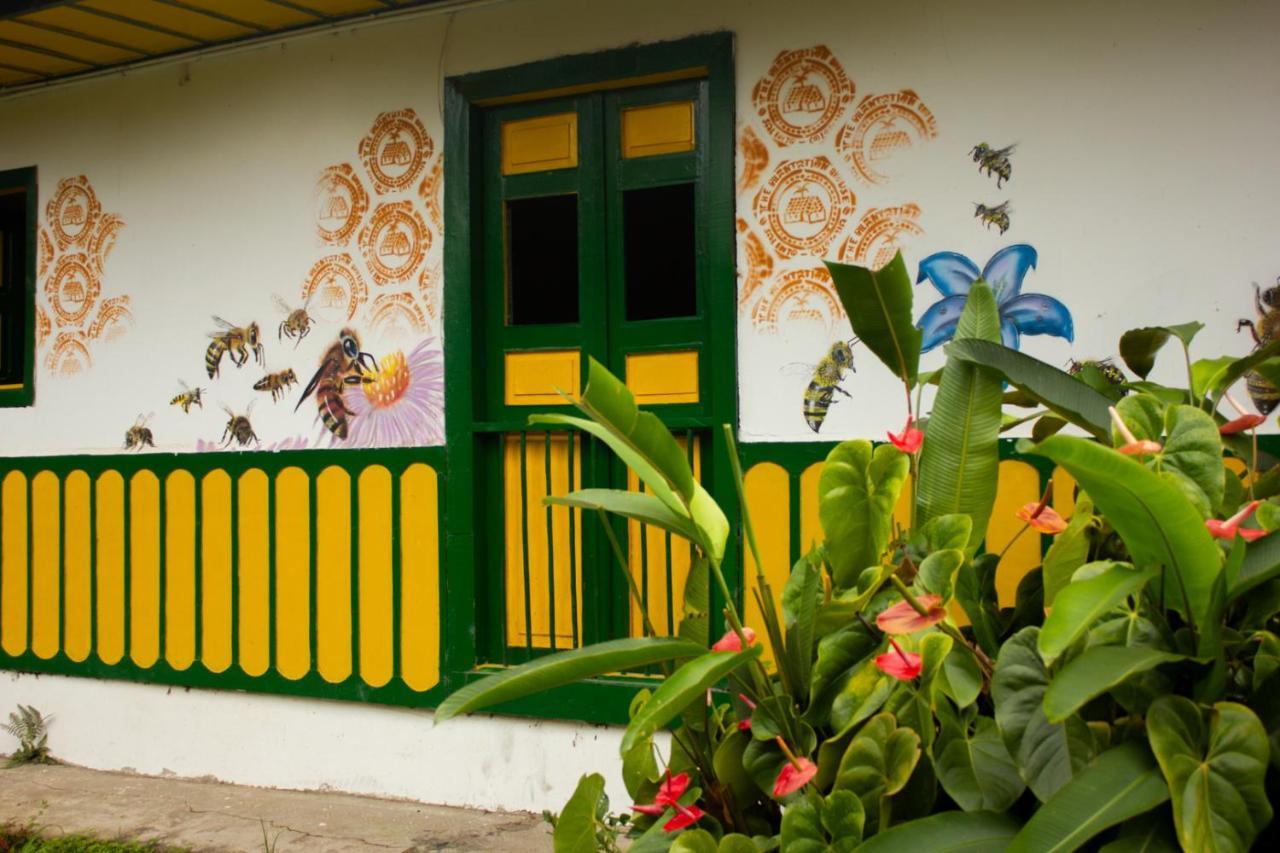 The Plantation House Travellers Hostel Salento Ngoại thất bức ảnh