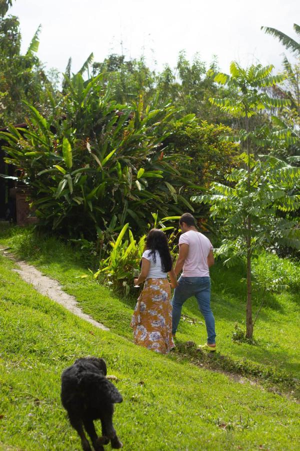 The Plantation House Travellers Hostel Salento Ngoại thất bức ảnh