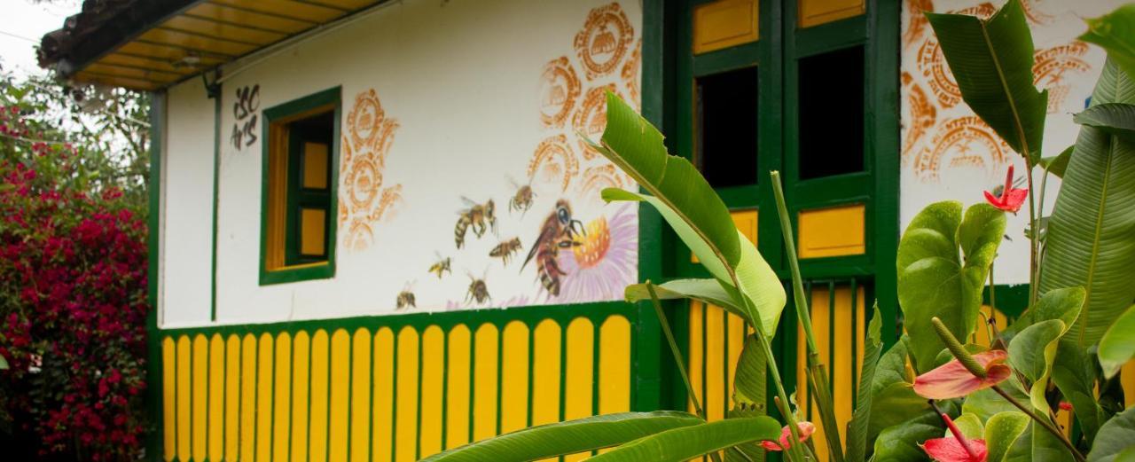 The Plantation House Travellers Hostel Salento Ngoại thất bức ảnh