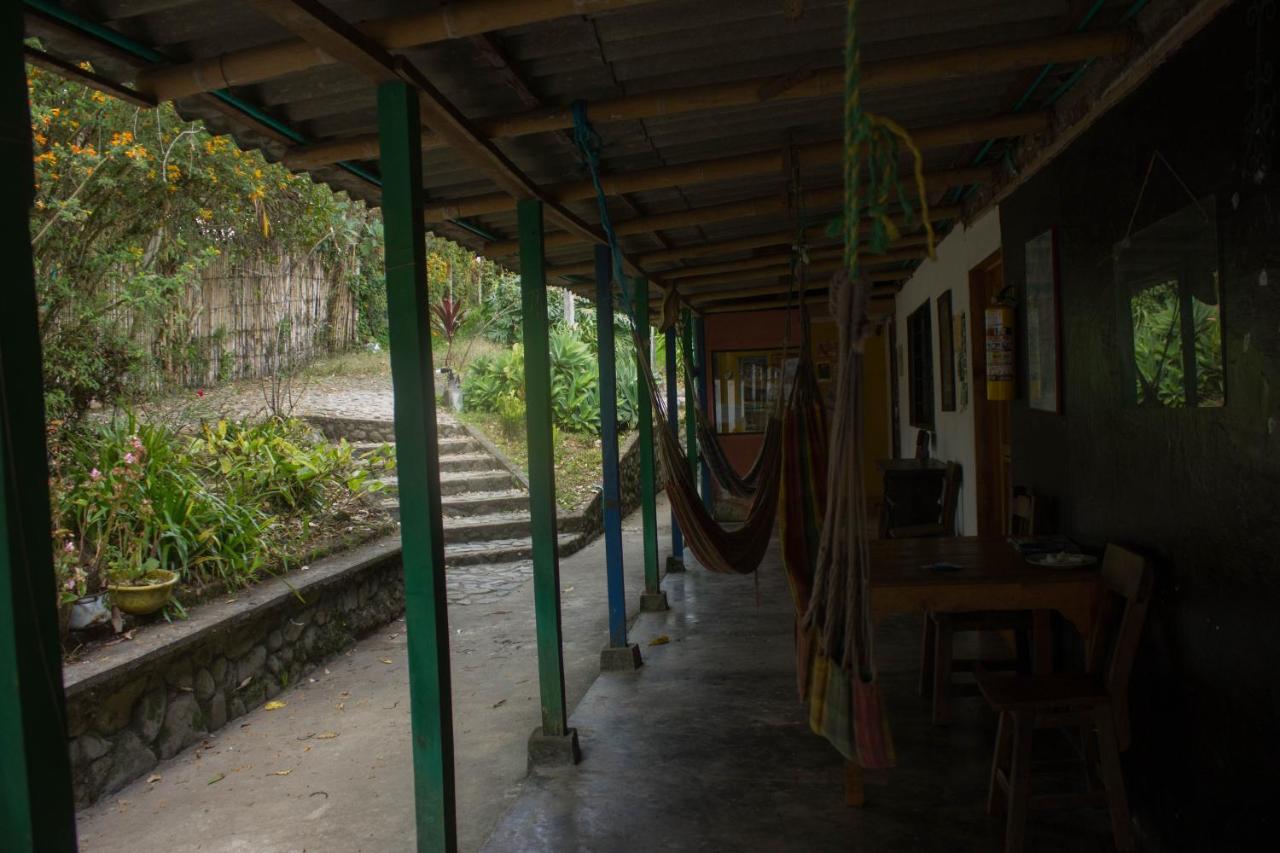 The Plantation House Travellers Hostel Salento Ngoại thất bức ảnh