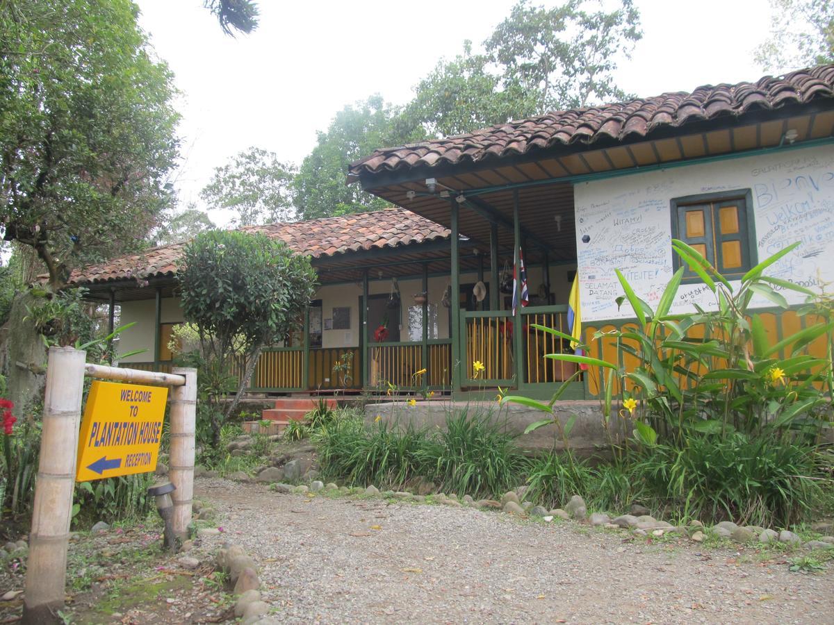 The Plantation House Travellers Hostel Salento Ngoại thất bức ảnh