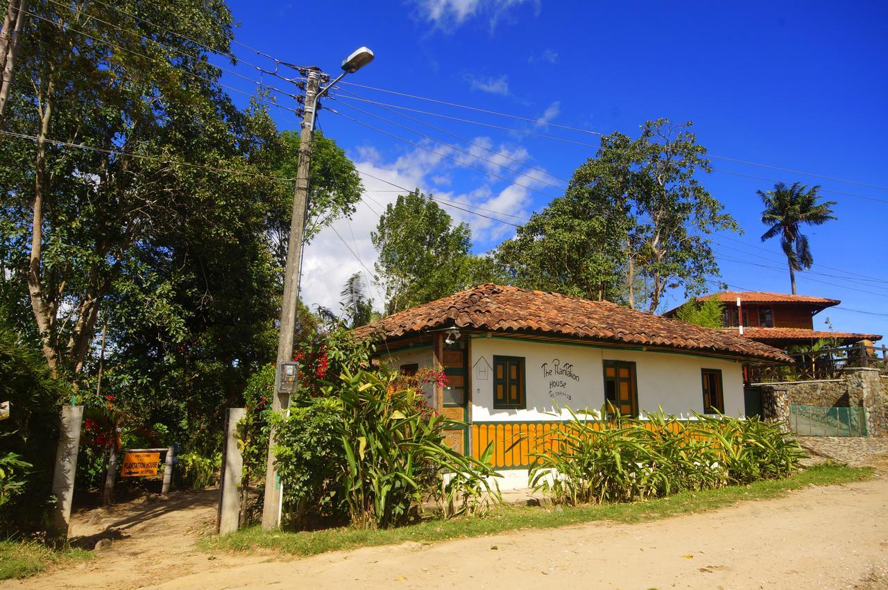 The Plantation House Travellers Hostel Salento Ngoại thất bức ảnh