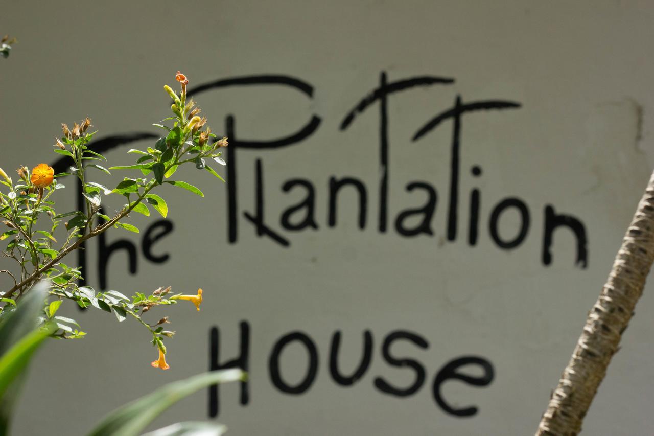 The Plantation House Travellers Hostel Salento Ngoại thất bức ảnh