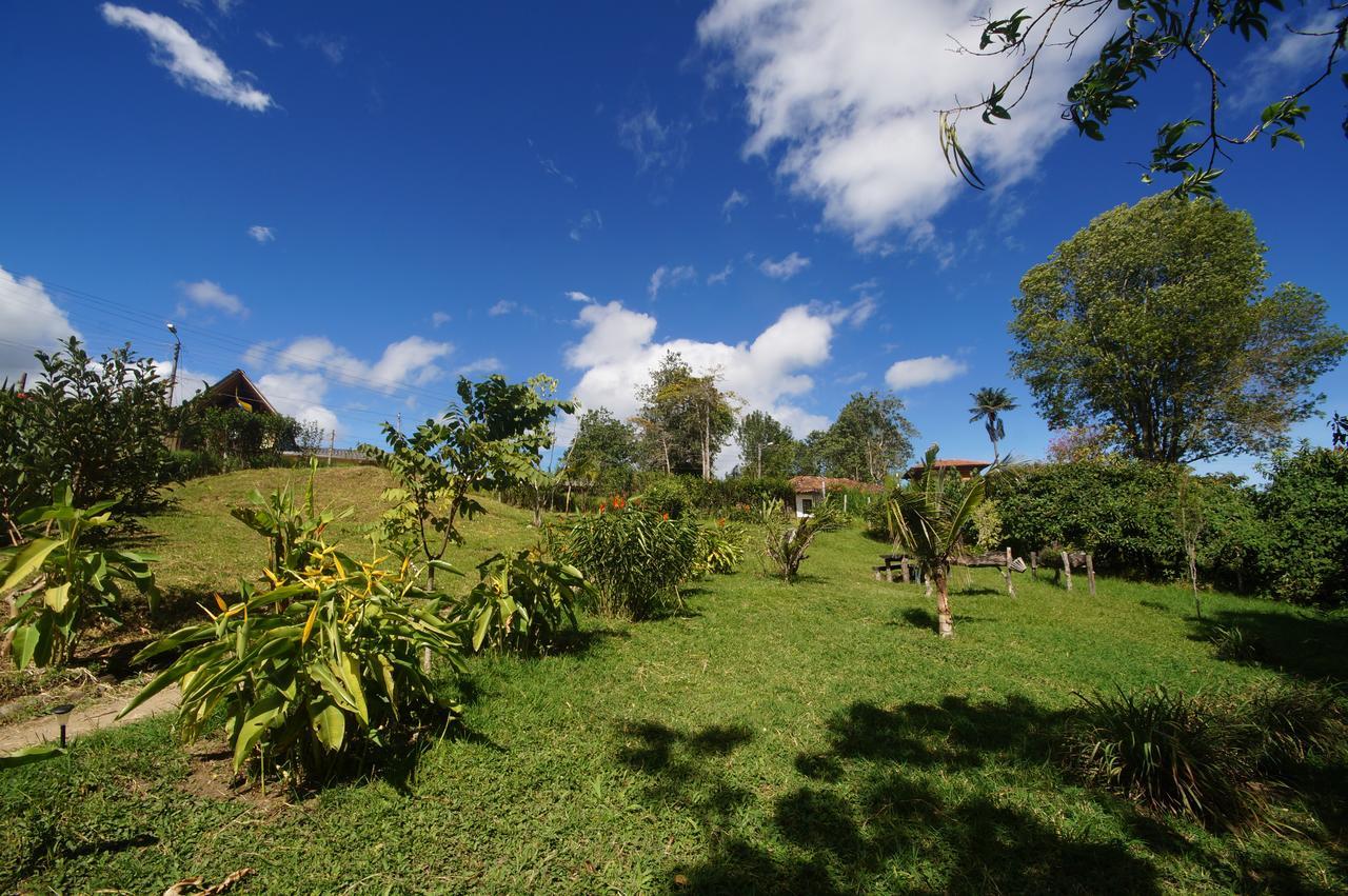 The Plantation House Travellers Hostel Salento Ngoại thất bức ảnh