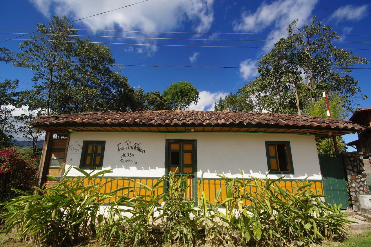 The Plantation House Travellers Hostel Salento Ngoại thất bức ảnh