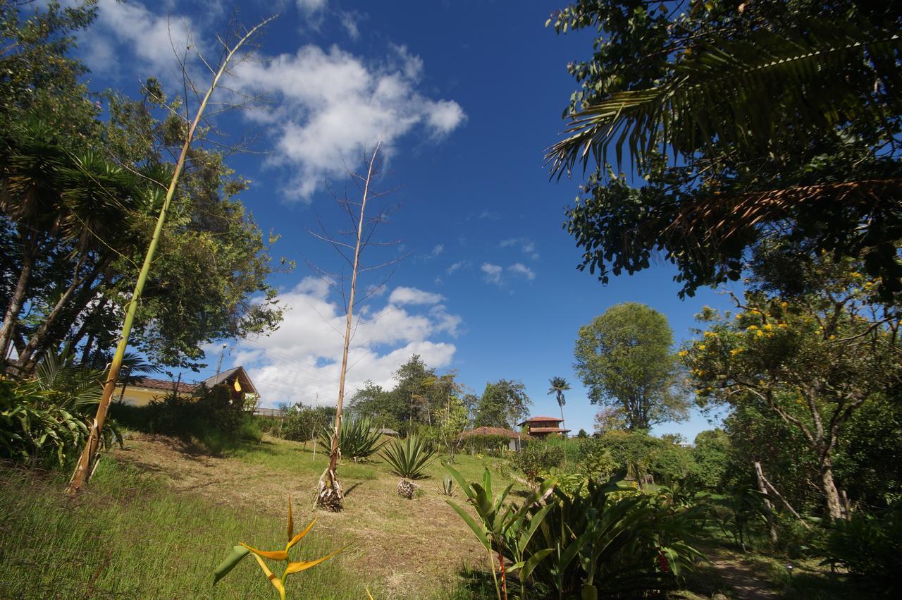 The Plantation House Travellers Hostel Salento Ngoại thất bức ảnh
